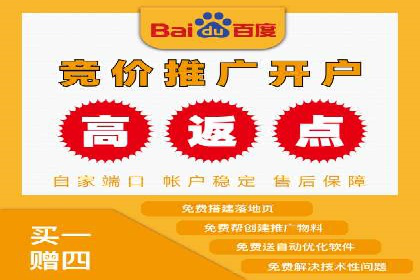 百度竞价包年推广的典型案例与效果展示